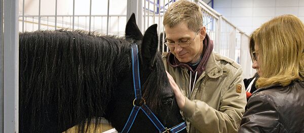 Выставка - шоу породистых лошадей - Sputnik Lietuva
