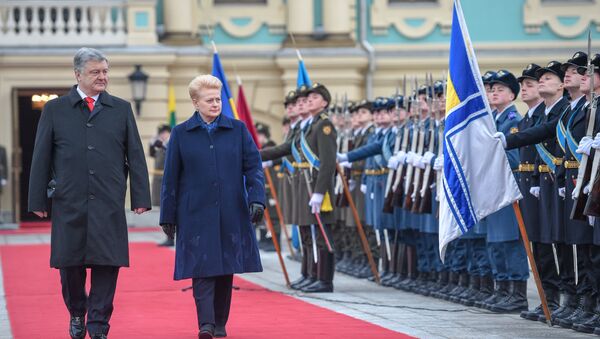 Встреча президента Литвы Дали Грибаускайте с президентом Украины Петром Порошенко, 7 декабря 2018 - Sputnik Литва