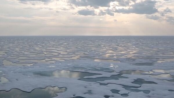 Льды Антарктиды стремительно тают - Sputnik Литва