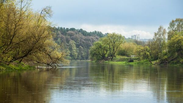Река Нерис в Вильнюсе, архивное фото - Sputnik Lietuva