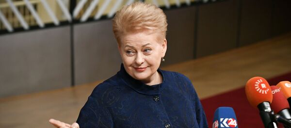 Президент Литвы Даля Грибаускайте во время переговоров в Брюсселе, 25 ноября 2018 года - Sputnik Литва