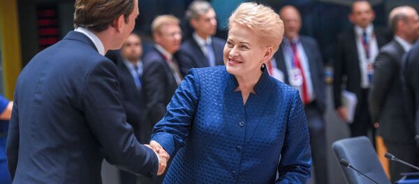 Dalia Grybauskaitė Europos Vadovų Tarybos susitikime Briuselyje Dalia Grybauskaitė Europos Vadovų Tarybos susitikime Briuselyje - Sputnik Lietuva