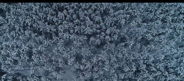 Make Winter Happy! | Lithuania - Sputnik Литва