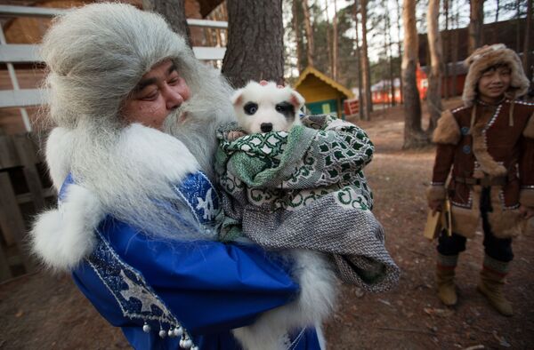 Ямал Ири из Салехарда несет щенка в подарок Деду Морозу во время празднования Дня рождения Деда Мороза в Великом Устюге - Sputnik Литва