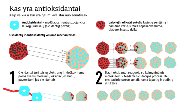 Kas yra antioksidantai - Sputnik Lietuva