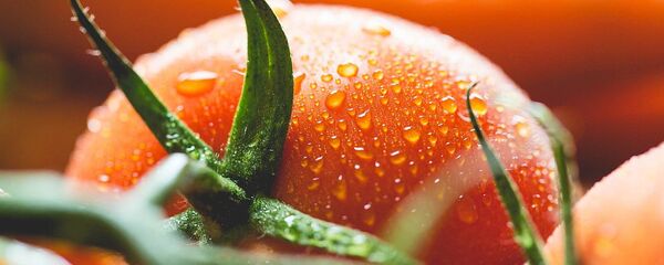 Помидор, архивное фото - Sputnik Литва