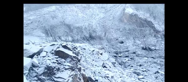 Сопка в Хабаровском крае могла обрушиться из-за падения метеорита Сопка в Хабаровском крае могла обрушиться из-за падения метеорита - Sputnik Литва