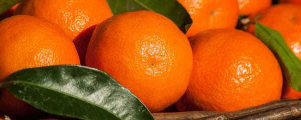 Мандарины Мандарины - Sputnik Lietuva