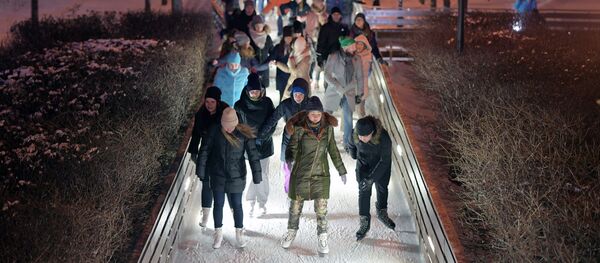 Čiuožykla Maskvos Gorkio parke Čiuožykla Maskvos Gorkio parke - Sputnik Lietuva