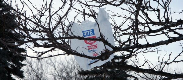 Plastikinis maišelis Plastikinis maišelis - Sputnik Lietuva