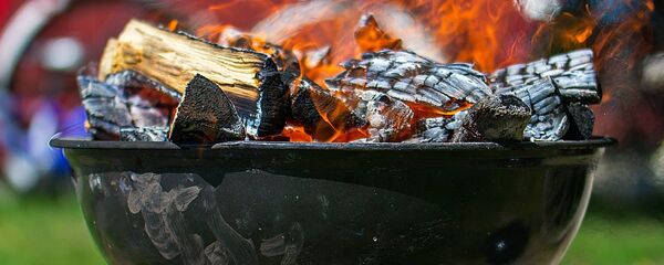 Мангал с дровами - Sputnik Литва