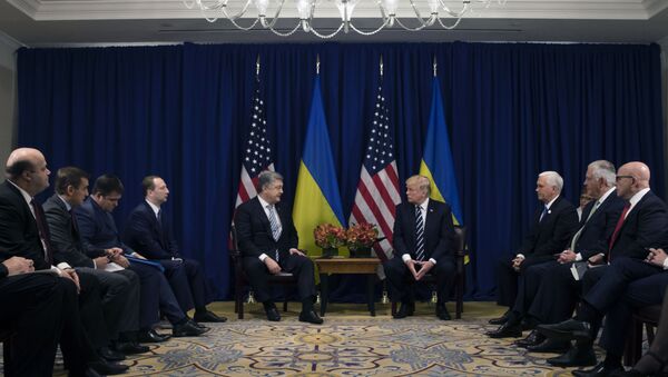 Встреча президента США Д.Трампа и президента Украины П.Порошенко - Sputnik Lietuva