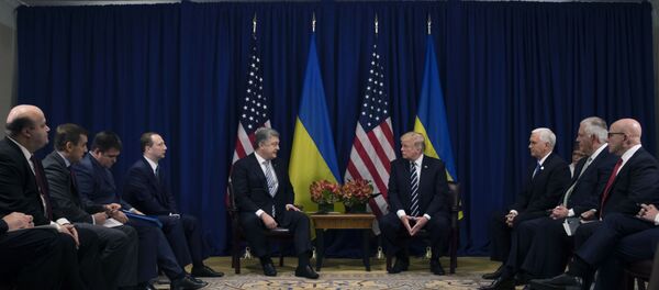 Встреча президента США Д.Трампа и президента Украины П.Порошенко Встреча президента США Д.Трампа и президента Украины П.Порошенко - Sputnik Lietuva