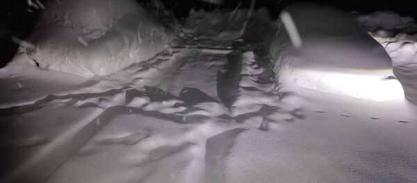 Движение в Австрии и Германии парализовано из-за сильных снегопадов Движение в Австрии и Германии парализовано из-за сильных снегопадов - Sputnik Литва