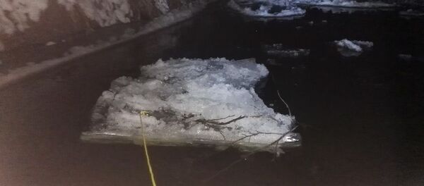 Cigarečių kontrabanda Cigarečių kontrabanda - Sputnik Lietuva