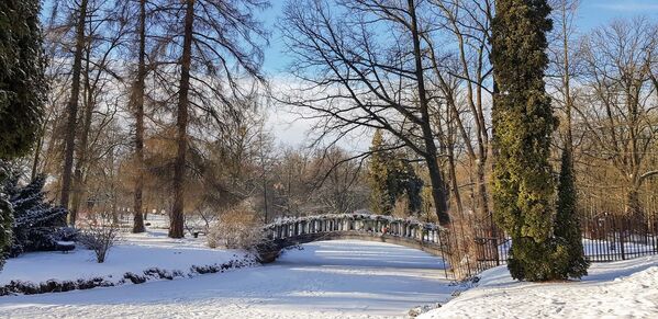Ботанический сад в Каунасе зимой - Sputnik Lietuva