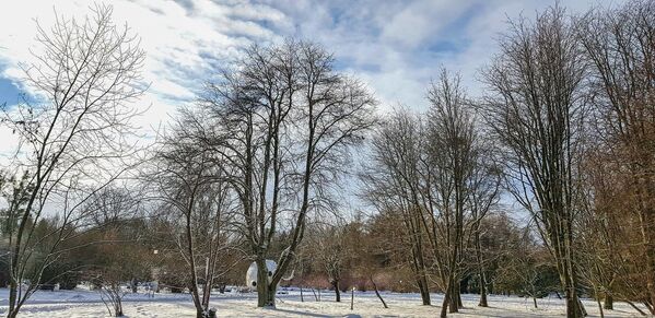 Ботанический сад в Каунасе зимой - Sputnik Lietuva