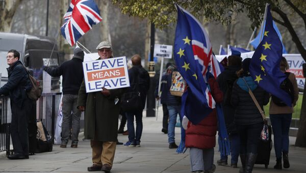 Протестующие за Брексит и против Брексита собрались возле здания парламента в Лондоне, в четверг, 10 января 2019 года - Sputnik Литва