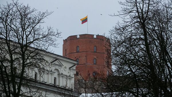 Башня Гедиминаса, архивное фото - Sputnik Литва
