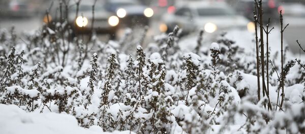 Уборка снега, архивное фото - Sputnik Литва