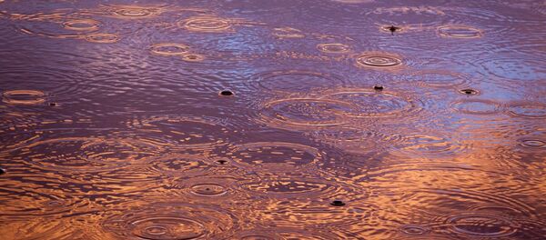 Дождь Дождь - Sputnik Литва