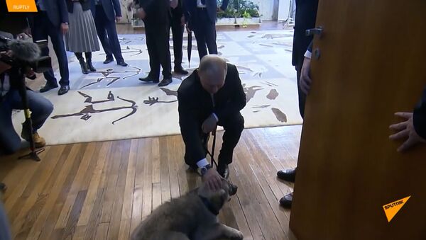 Путин получил в подарок щенка от президента Сербии - Sputnik Литва