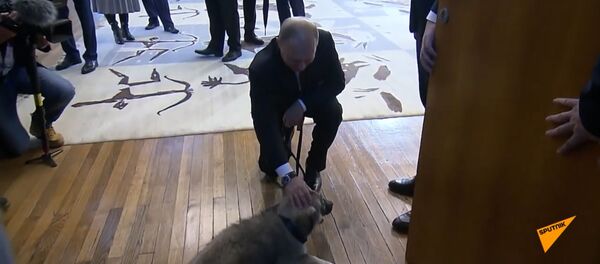 Путин получил в подарок щенка от президента Сербии - Sputnik Литва