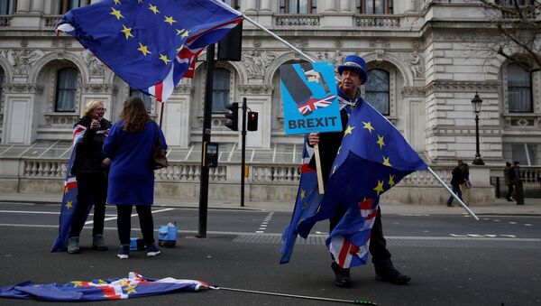 Участник кампании против Брексита Стив Брей держит флаги ЕС во время демонстрации на Уайтхолле в центре Лондона 2 января 2019 года - Sputnik Литва