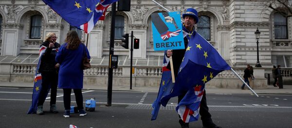 Участник кампании против Brexit Стив Брей держит флаги ЕС во время демонстрации в центре Лондона, 2 января 2019 года - Sputnik Литва