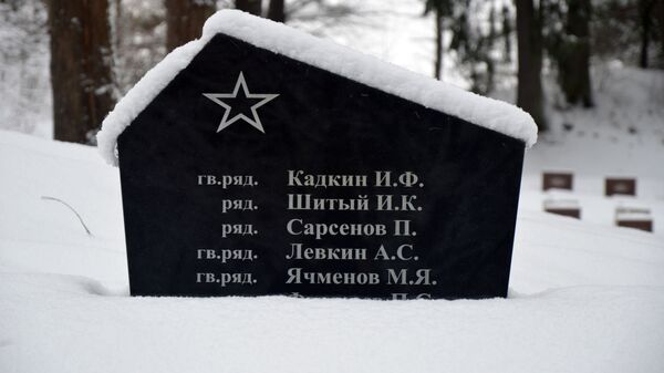 Памятник из-за которого ведется судебная тяжба Вильнюсского самоуправления и организации Забытые солдаты, архивное фото - Sputnik Литва