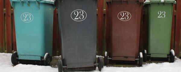 Мусорные контейнеры, архивное фото - Sputnik Литва