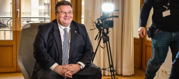 Министр иностранных дел Литвы Динас Линкявичюс, архивное фото - Sputnik Литва