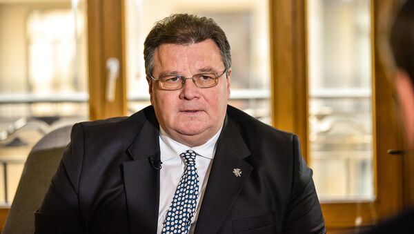 Министр иностранных дел Литвы Динас Линкявичюс, архивное фото - Sputnik Литва