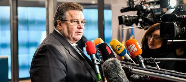 Министр иностранных дел Литвы Динас Линкявичюс, архивное фото - Sputnik Литва