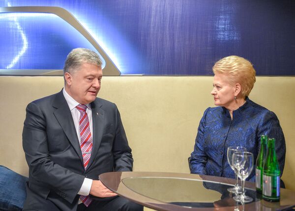 Grybauskaitė pranešė apie susilpnėjusį pasaulio bendruomenės dėmesį Ukrainai Grybauskaitė pranešė apie susilpnėjusį pasaulio bendruomenės dėmesį Ukrainai - Sputnik Lietuva