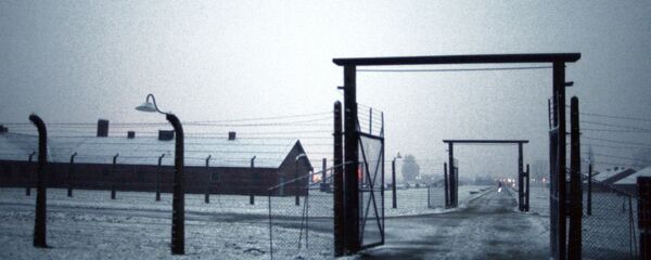 Концентрационный лагерь в Освенциме, архивное фото - Sputnik Литва