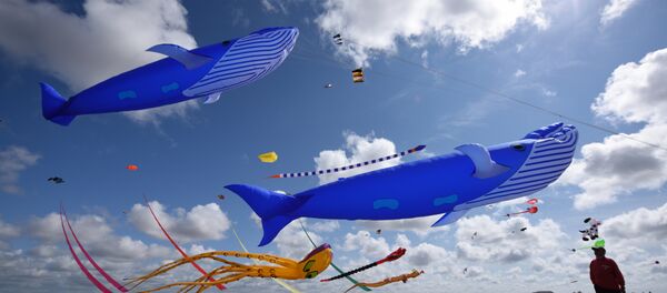 Морские создания парят в воздушном пространстве - Sputnik Литва