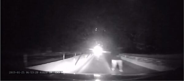 В Литве полицейские едва не сбили пешехода  - Sputnik Литва