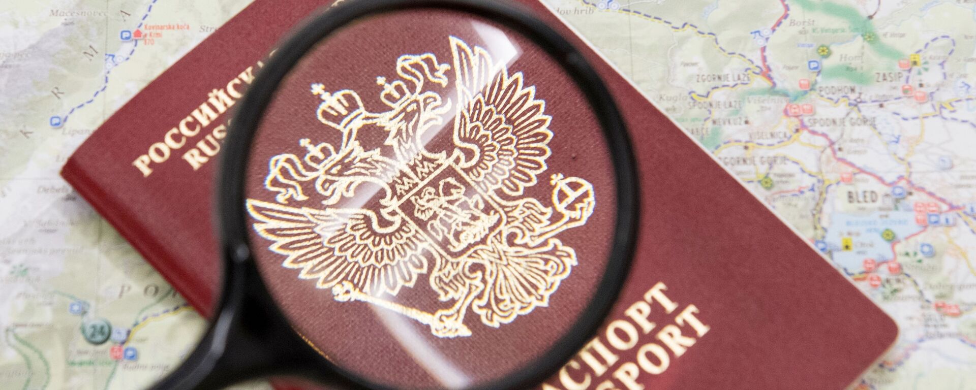 Паспорт гражданина Российской Федерации. - Sputnik Lietuva, 1920, 07.04.2021