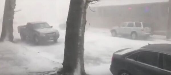 По меньшей мере 20 человек погибли в результате аномальных холодов в США По меньшей мере 20 человек погибли в результате аномальных холодов в США - Sputnik Литва