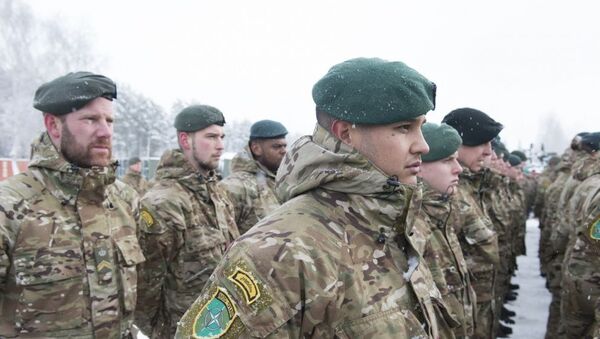 NATO priešakinių pajėgų bataliono buvimo Lietuvoje antrųjų metinių minėjimas, 2019 metų vasario 4 d. - Sputnik Lietuva