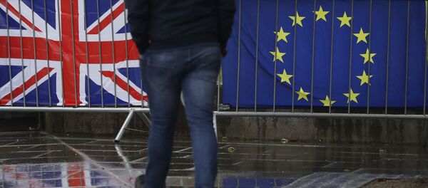 Britanijos ir ES vėliavos Britanijos ir ES vėliavos - Sputnik Lietuva