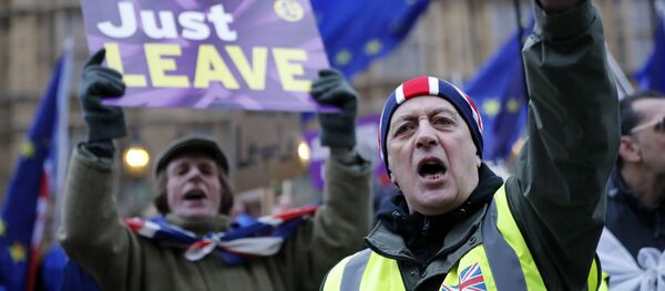 Выступление в поддержку Брексит, Brexit, архивное фото - Sputnik Литва