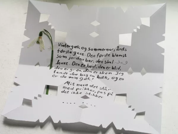 Письмо gækkebrev, которое дарят анонимно девушкам на день Святого Валентина в Дании и Норвегии  - Sputnik Lietuva