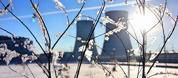 Строительство Белорусской АЭС, архивное фото - Sputnik Литва