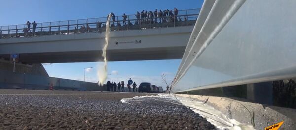 Italijos ūkininkai išpylė pieną ant greitkelio, reikšdami protestą Italijos ūkininkai išpylė pieną ant greitkelio, reikšdami protestą - Sputnik Lietuva