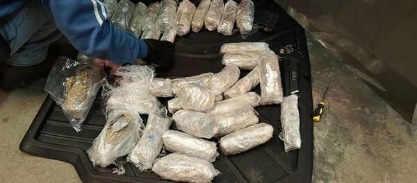 Контрабанда наркотиковkanapių ir kokaino kontrabanda - Sputnik Lietuva