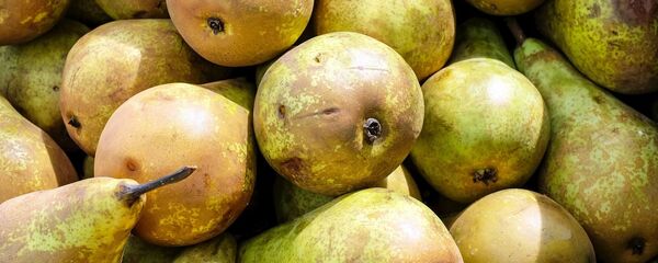 Груши, архивное фото - Sputnik Литва