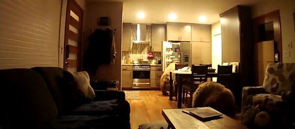 Медвежата решили пообедать в доме - Sputnik Литва