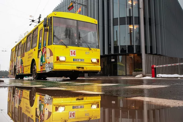Visus meno kūrinius jungia pagrindinė tema — Kaunas. Visus meno kūrinius jungia pagrindinė tema — Kaunas. - Sputnik Lietuva